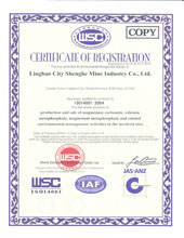 ISO14001（英文）